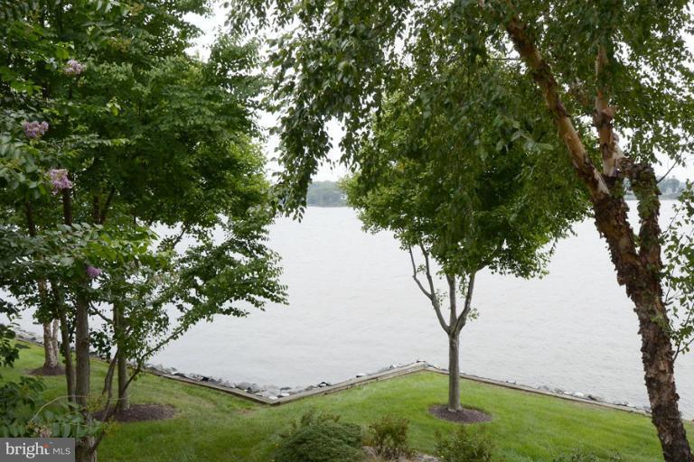 710 South River Landing Road, Unit 710 Edgewater, MD 21037 - Photo 9 of 30 Lushly Landscaped and Treed Grounds