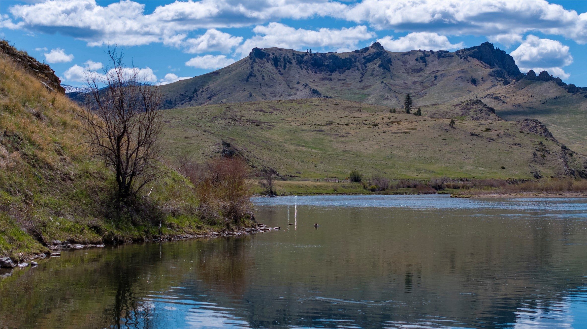 754 Sheep Creek Road Cascade, MT 59421 - Photo 21 of 44 Gallery Image 21