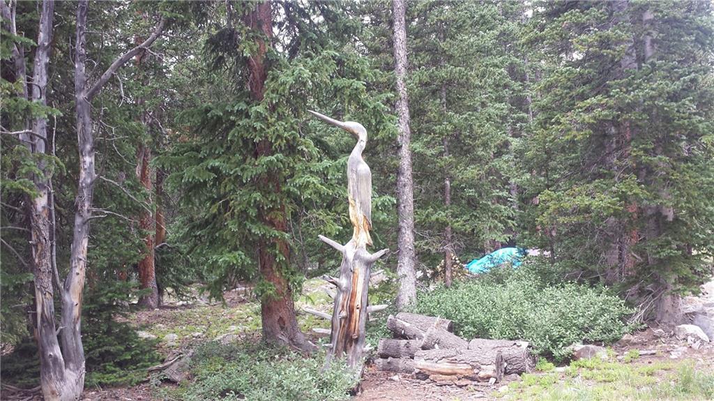 319 Ansley Road Alma, CO 80420 - Photo 20 of 24 Gallery Image 20