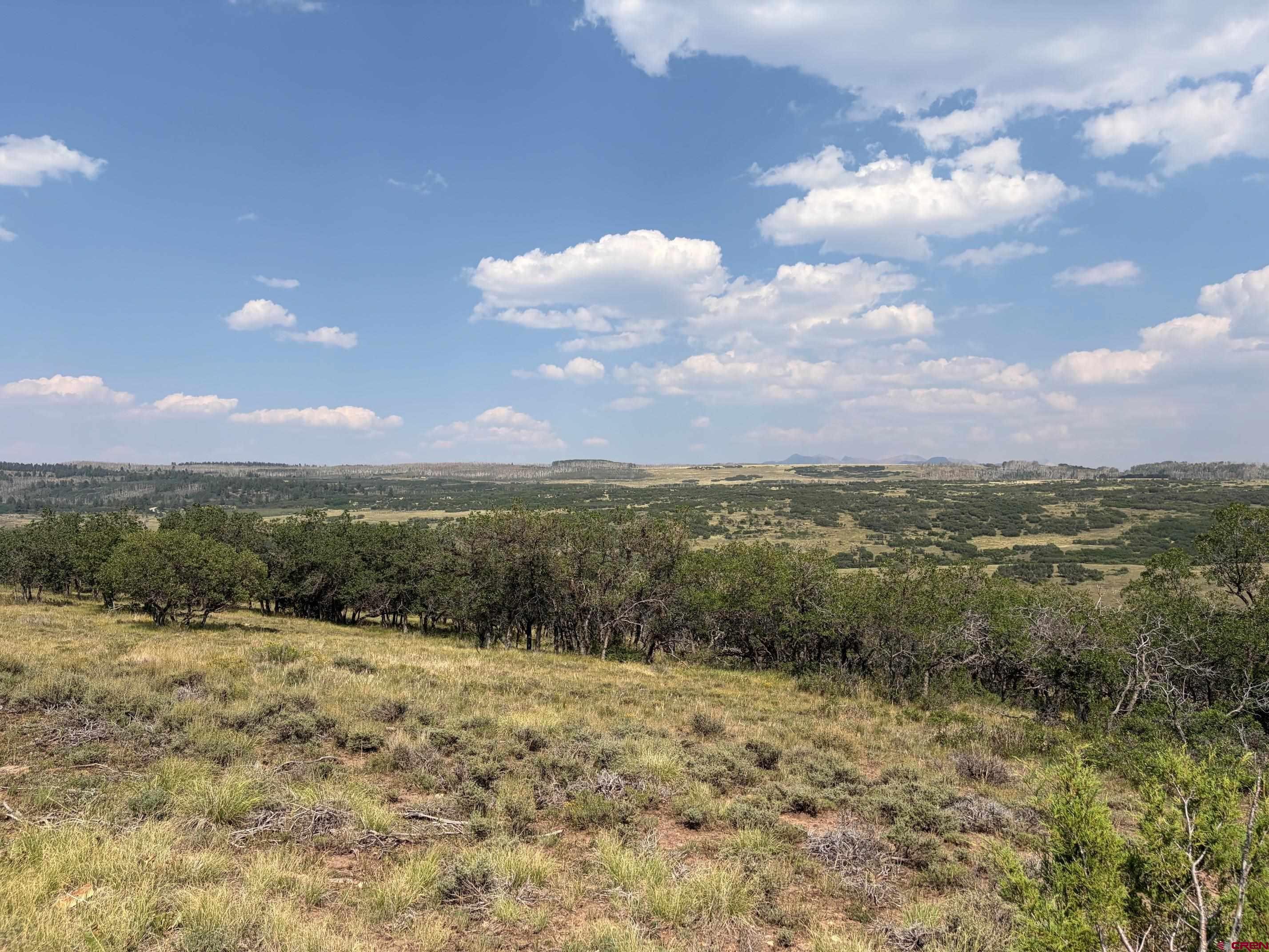 Lot G M44 Road Placerville, CO 81430 - Photo 8 of 16 Gallery Image 8