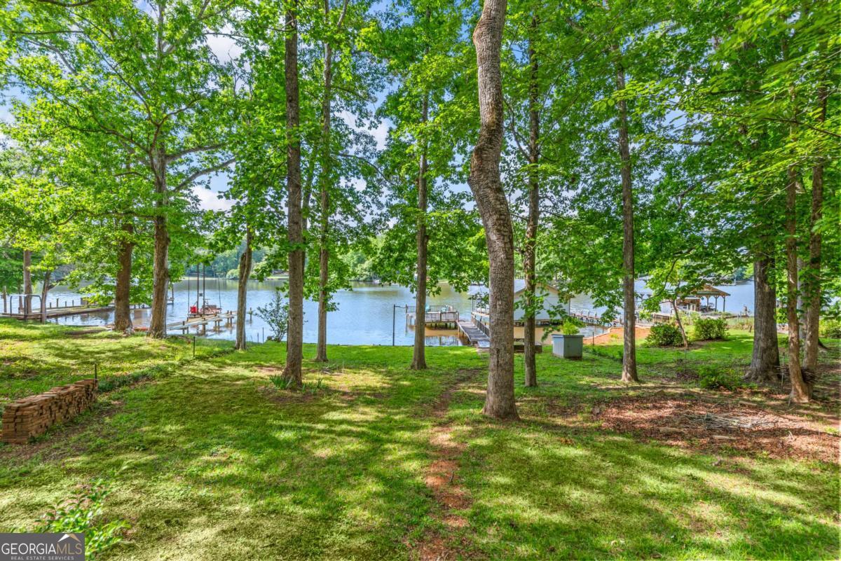 194 Phillips Road Eatonton, GA 31024 - Photo 42 of 57 a view of a tree in the middle of a park