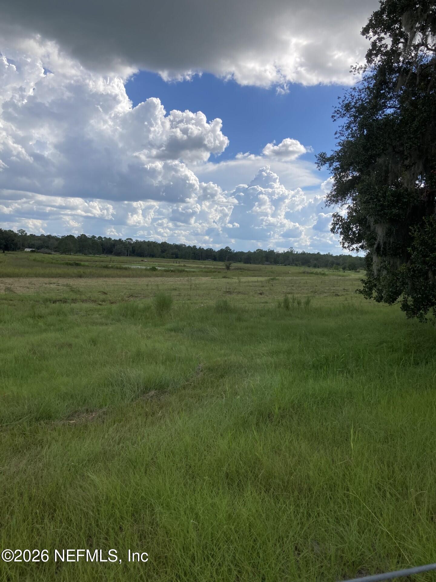 7670 Bundy Lake Road Keystone Heights, FL 32656 - Photo 4 of 22 a view of a big yard with a large tree