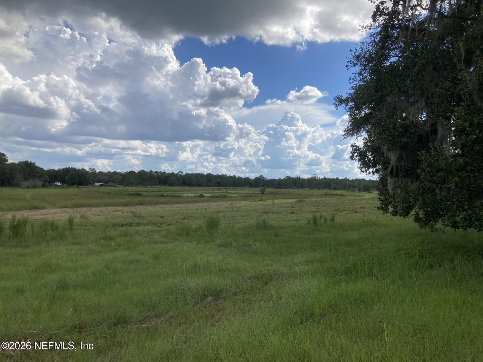 7670 Bundy Lake Road Keystone Heights, FL 32656 - Photo 5 of 22 a view of a lake in middle of the green forest