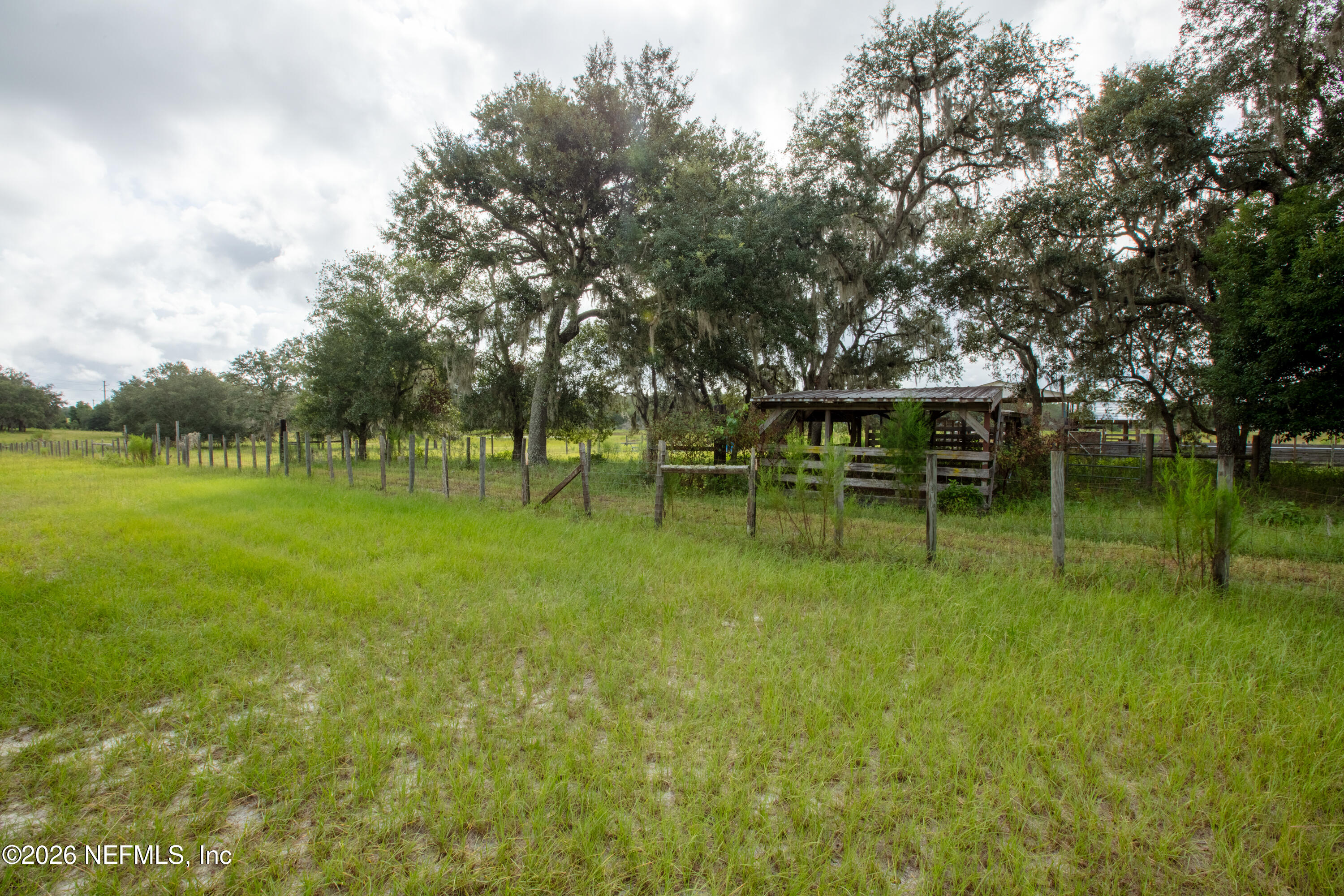 7670 Bundy Lake Road Keystone Heights, FL 32656 - Photo 6 of 22 a view of a park with large trees