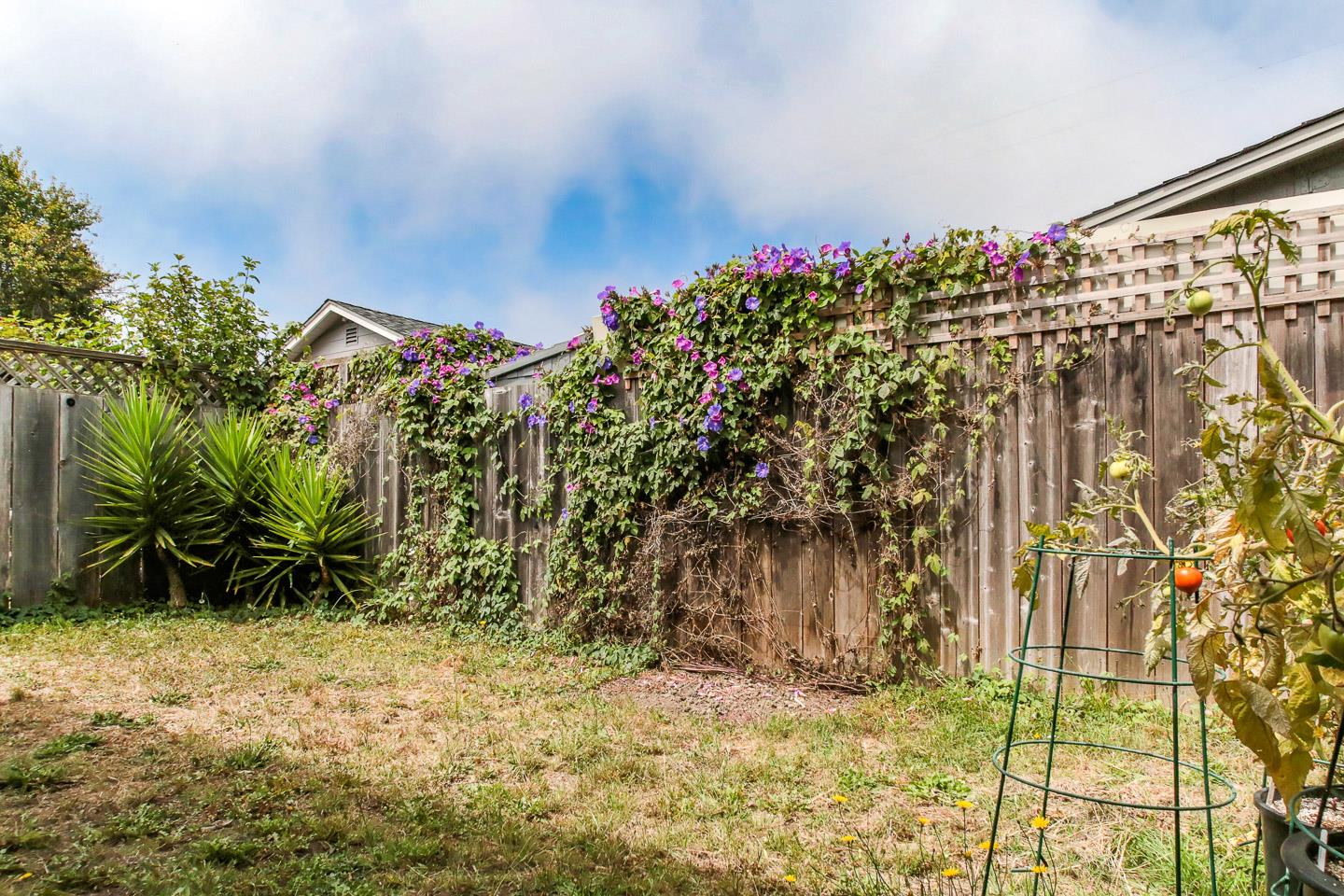 235 Mar Vista Drive Aptos, CA 95003 - Photo 13 of 21