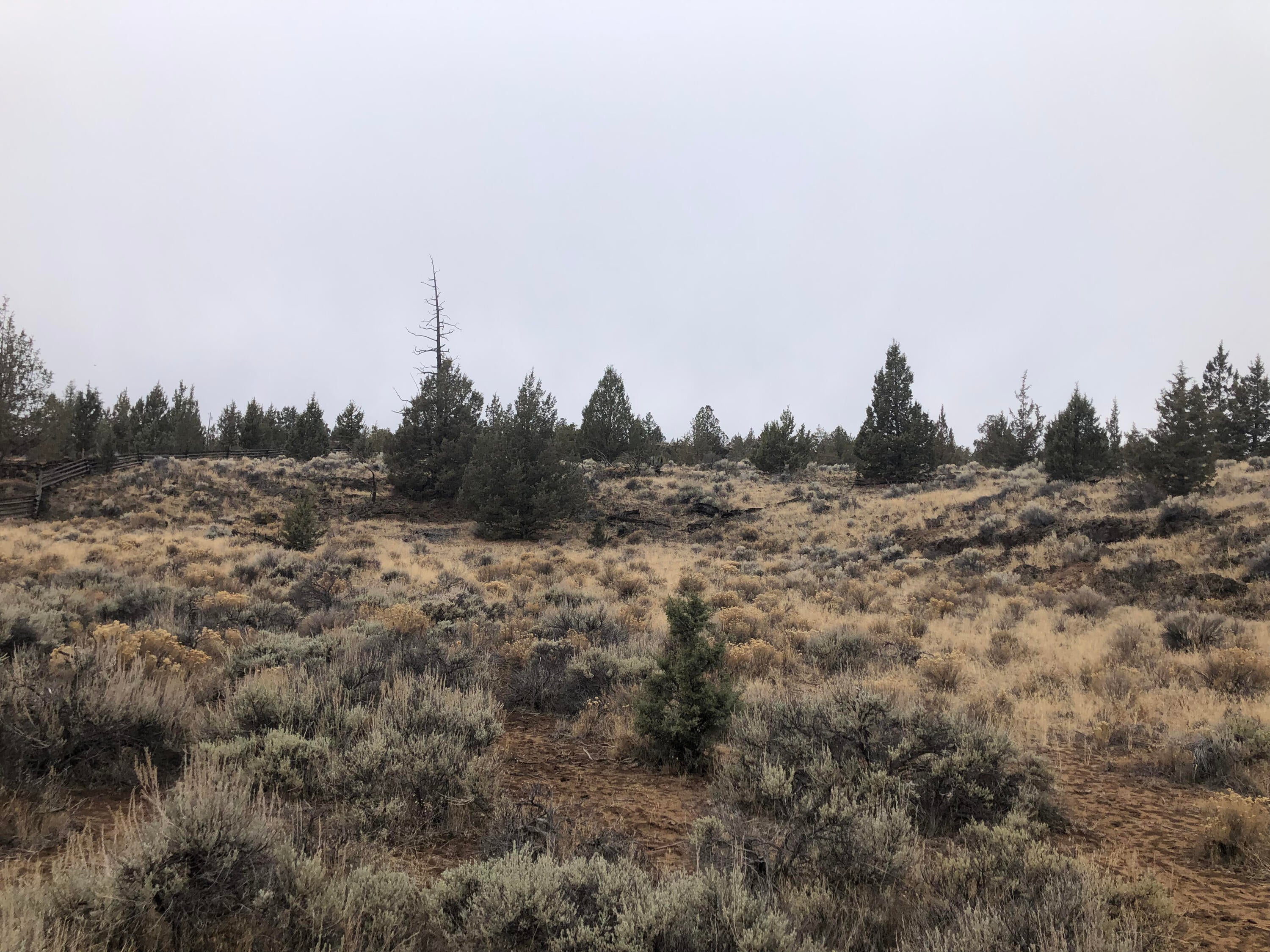 16825 Southwest Quail Road Terrebonne, OR 97760 - Photo 6 of 12 Quail4