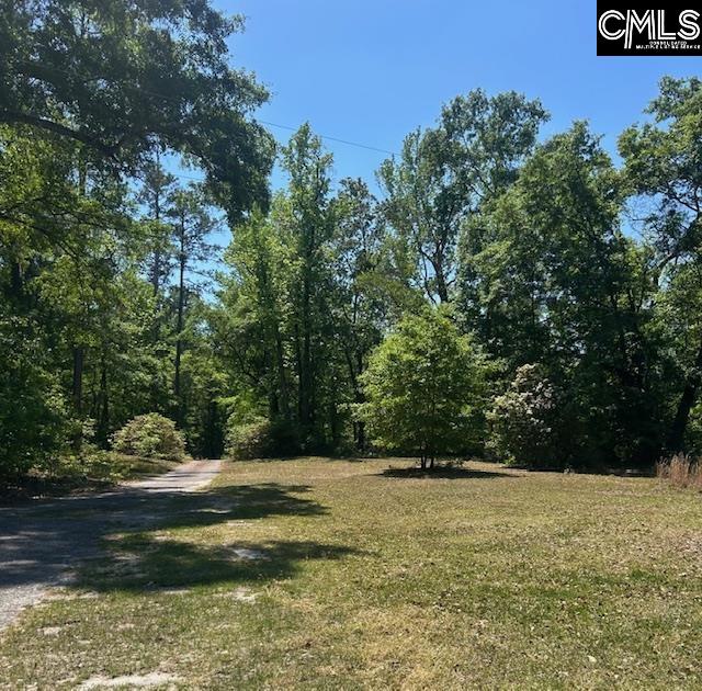175 Geiger Lane Gaston, SC 29053 - Photo 13 of 14