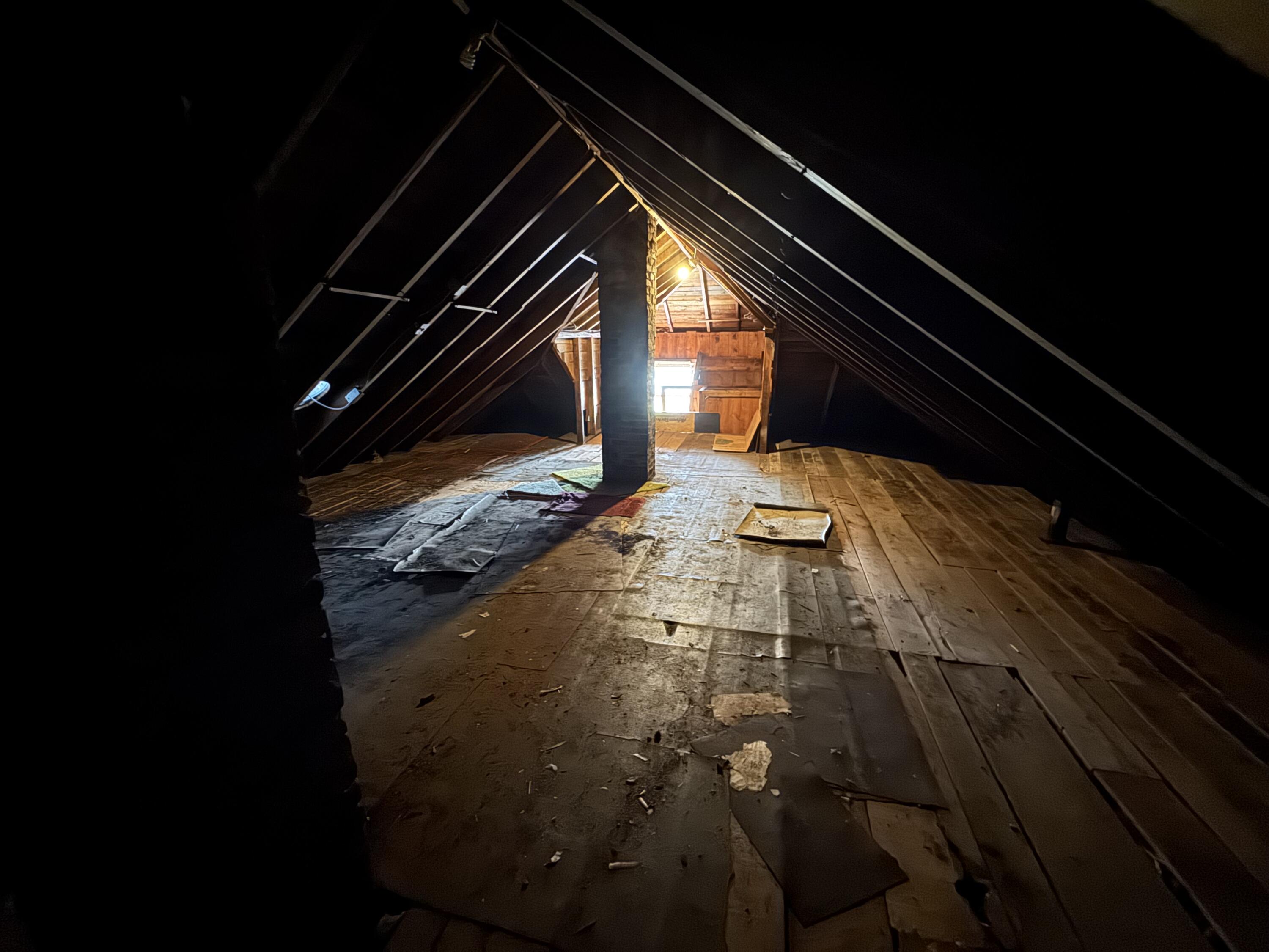 42 Murray Street Portland, ME 04103 - Photo 23 of 27 IMG_2757