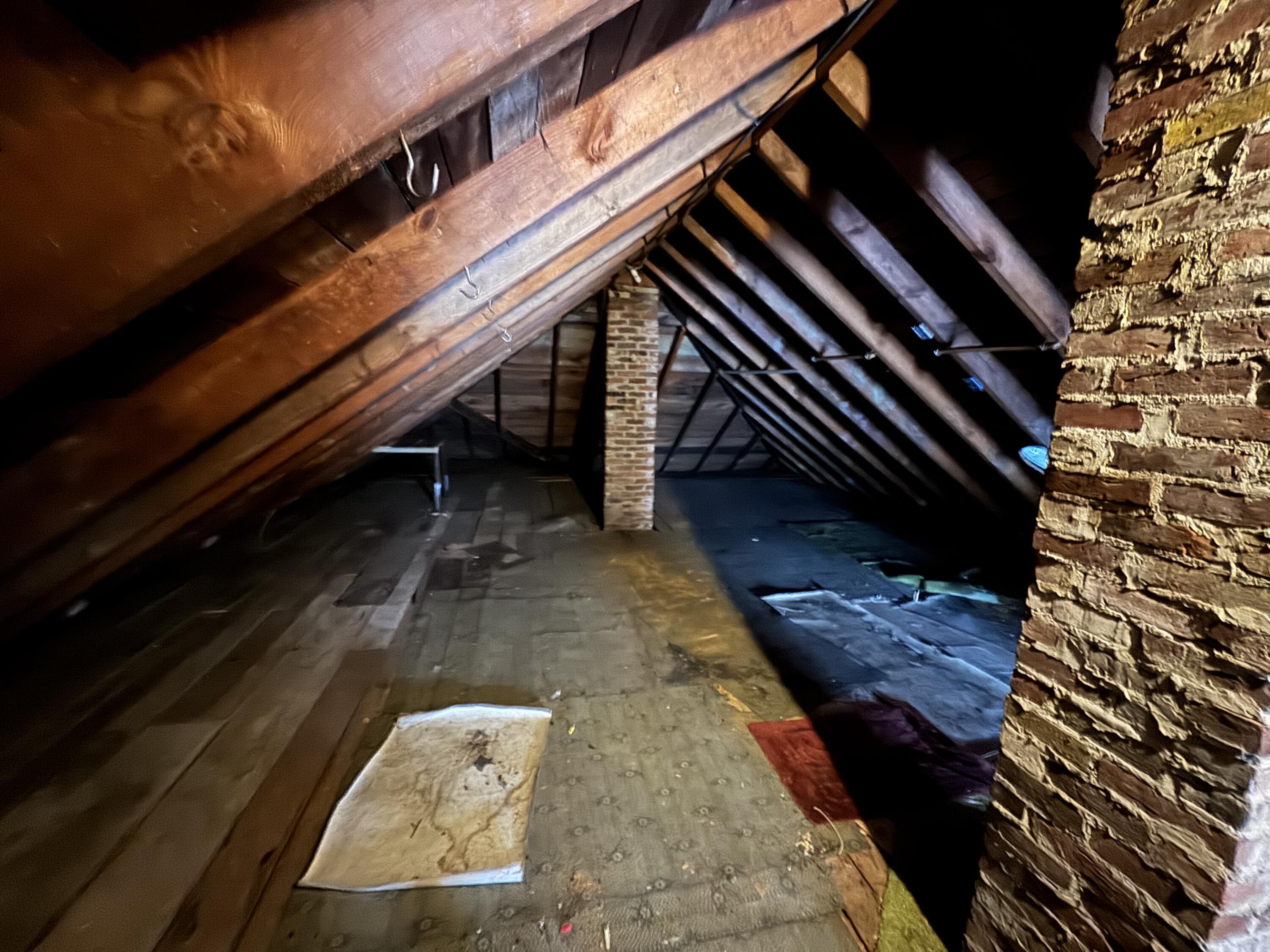 42 Murray Street Portland, ME 04103 - Photo 24 of 27 IMG_2756