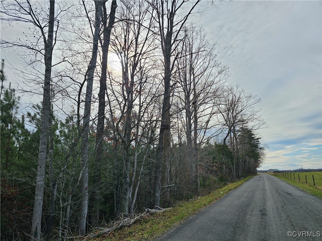 0 Roundabout Road Louisa, VA 23093 - Photo 1 of 14 a view of a forest filled with trees