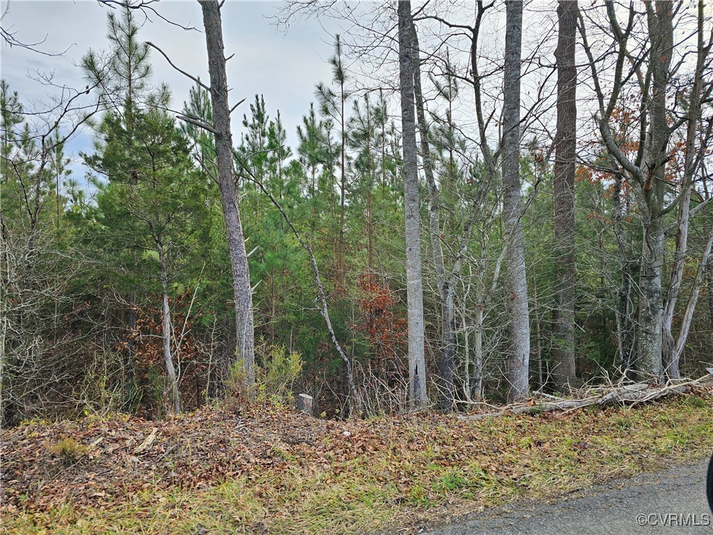0 Roundabout Road Louisa, VA 23093 - Photo 2 of 14 a view of a forest filled with trees