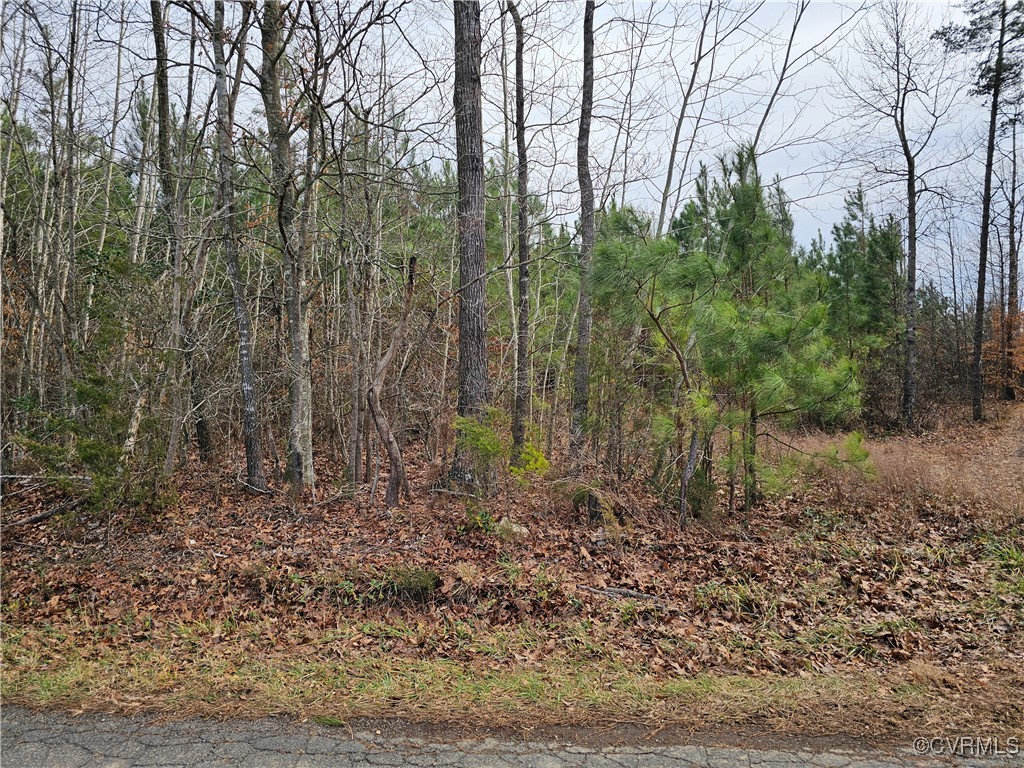 0 Roundabout Road Louisa, VA 23093 - Photo 3 of 14 a view of a yard with large trees