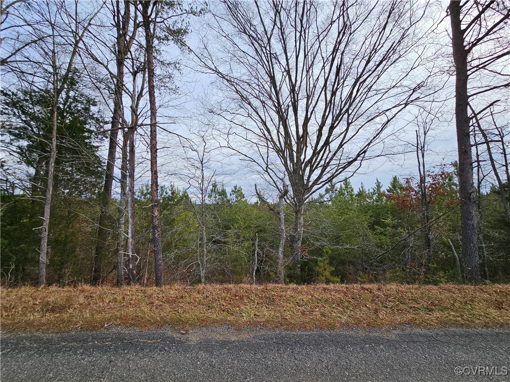0 Roundabout Road Louisa, VA 23093 - Photo 4 of 14