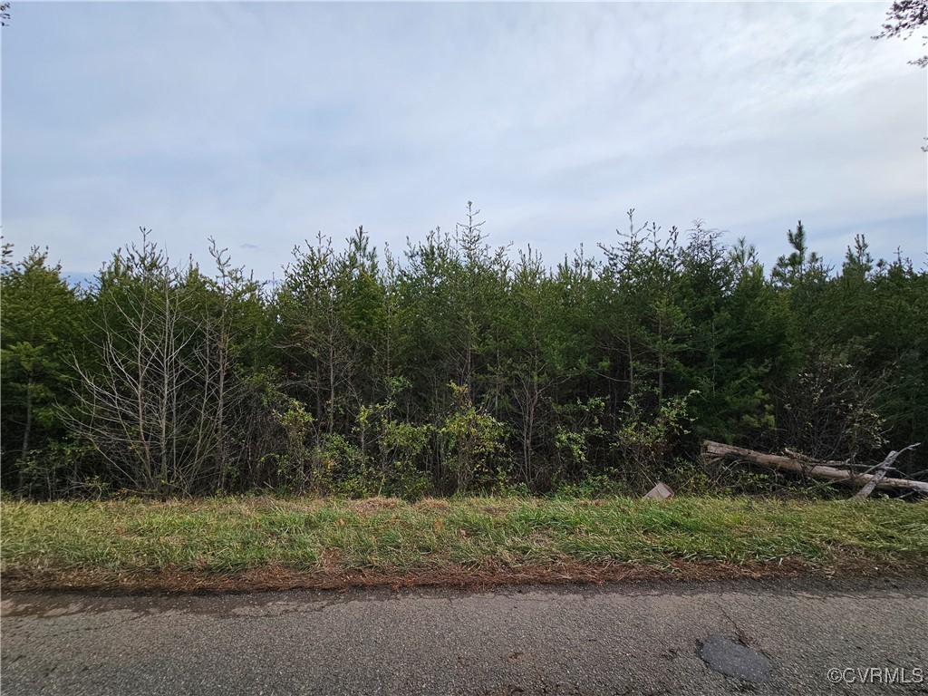 0 Roundabout Road Louisa, VA 23093 - Photo 5 of 14 a view of a yard