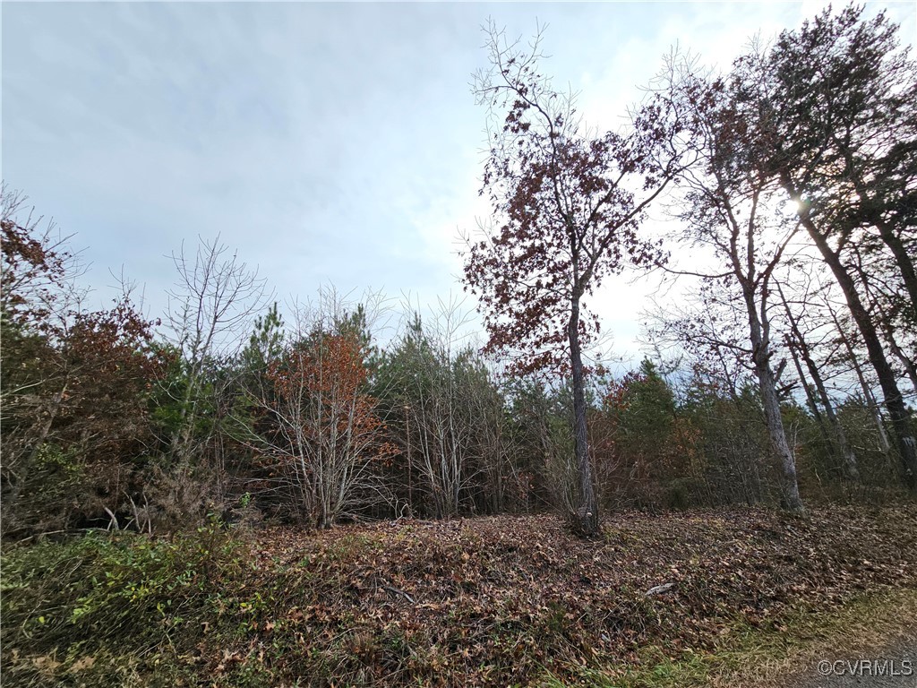 0 Roundabout Road Louisa, VA 23093 - Photo 6 of 14 a view of a yard with trees