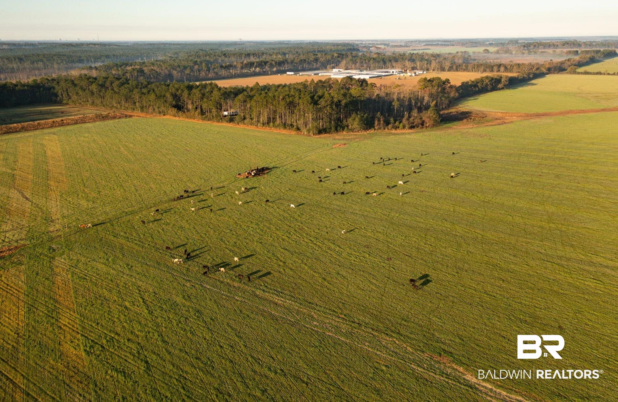 0 County Road 91 Elberta, AL 36530 - Photo 4 of 25 Overview of rural landscape