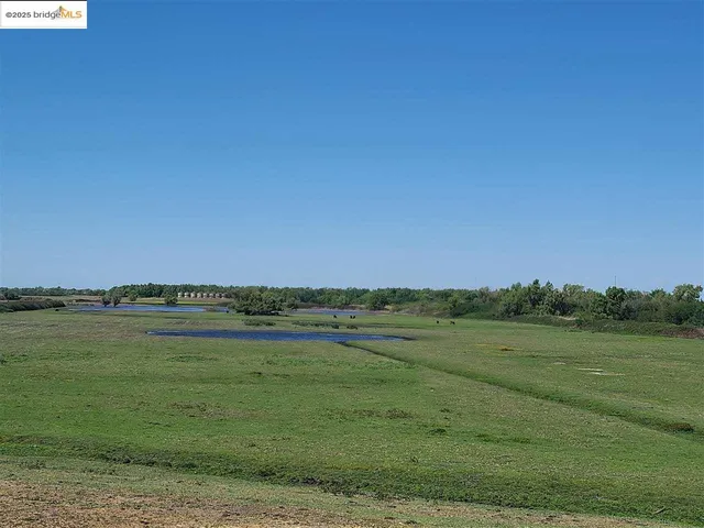 a view of a field with an ocean