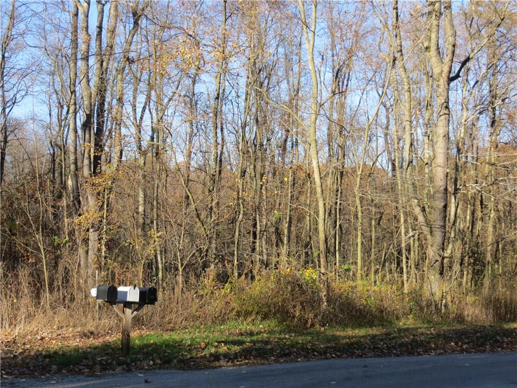 180 Frankfort Springs Road Georgetown, PA 15043 - Photo 3 of 3