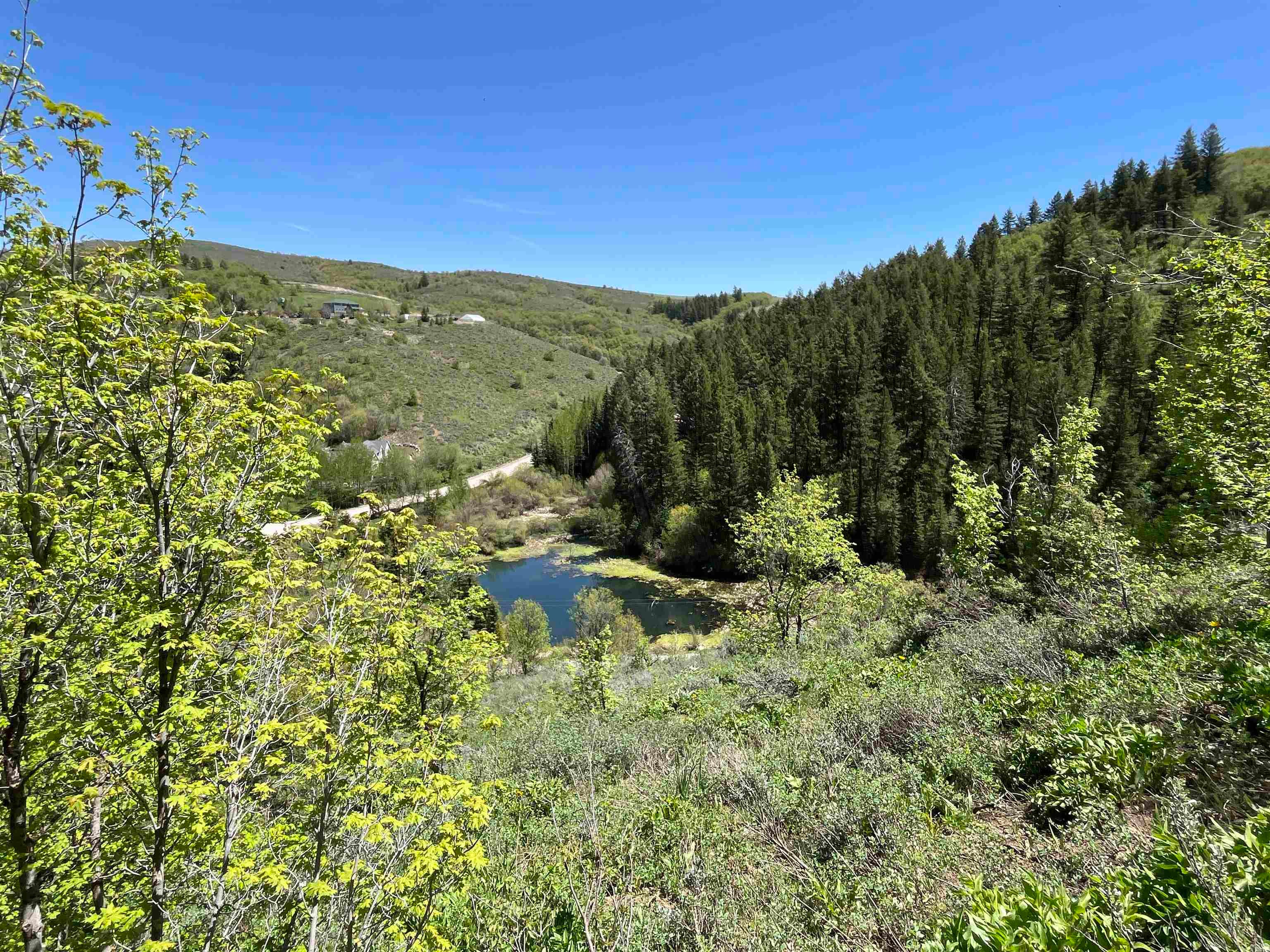 North Whispering Pines Road Pocatello, ID 83201 - Photo 10 of 42 Gallery Image 10