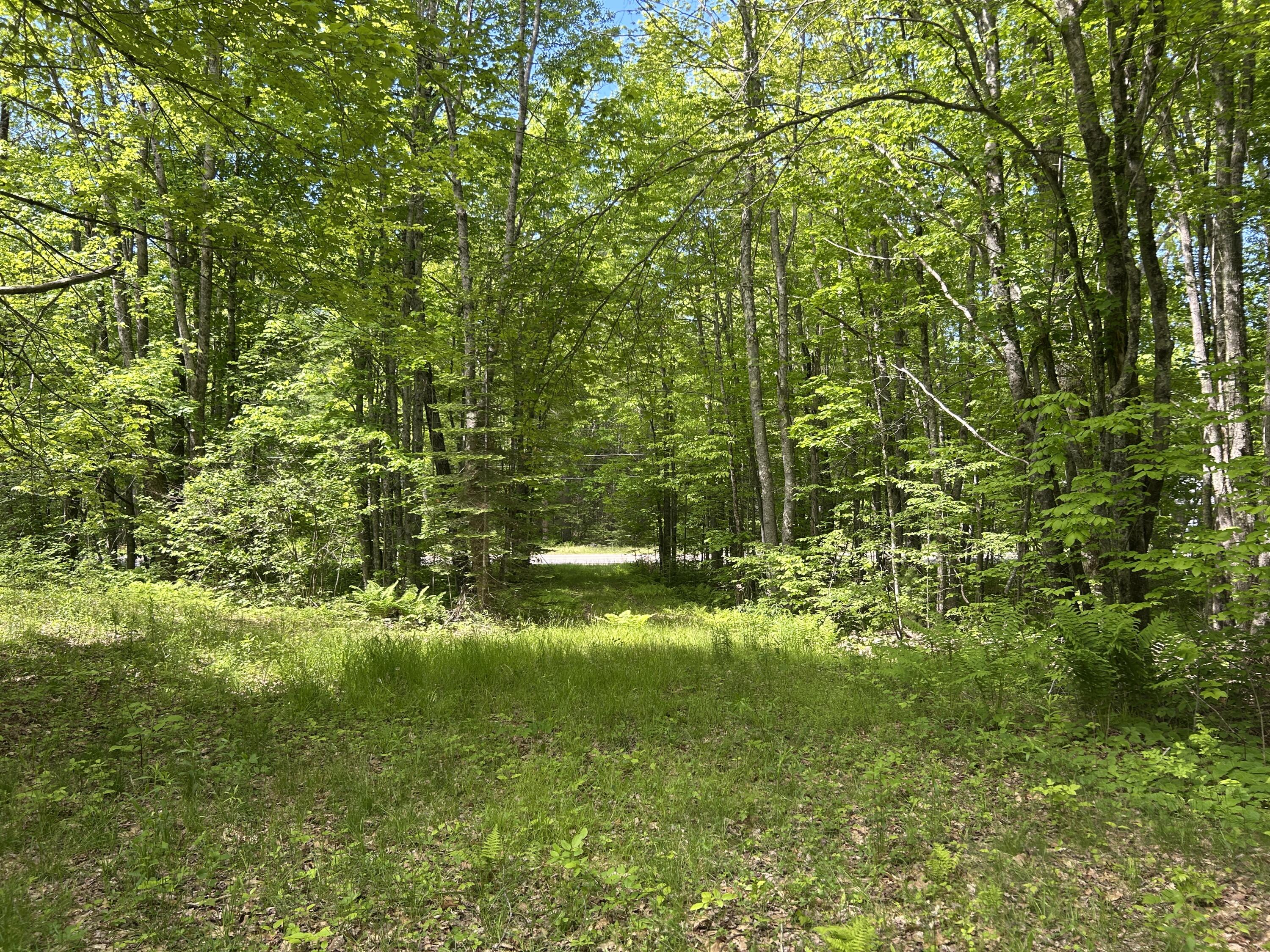 0 Augusta Road Jefferson, ME 04348 - Photo 2 of 6 IMG_9463