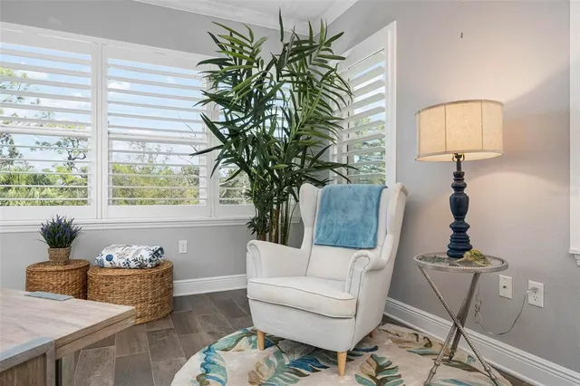 a living room with furniture and a potted plant