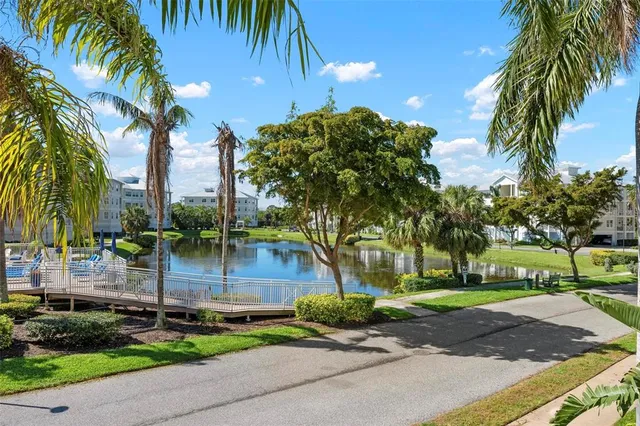 a view of a yard with palm trees