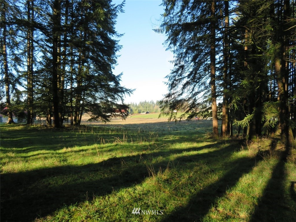 -xxx Antrim Road Winlock, WA 98596 - Photo 2 of 25