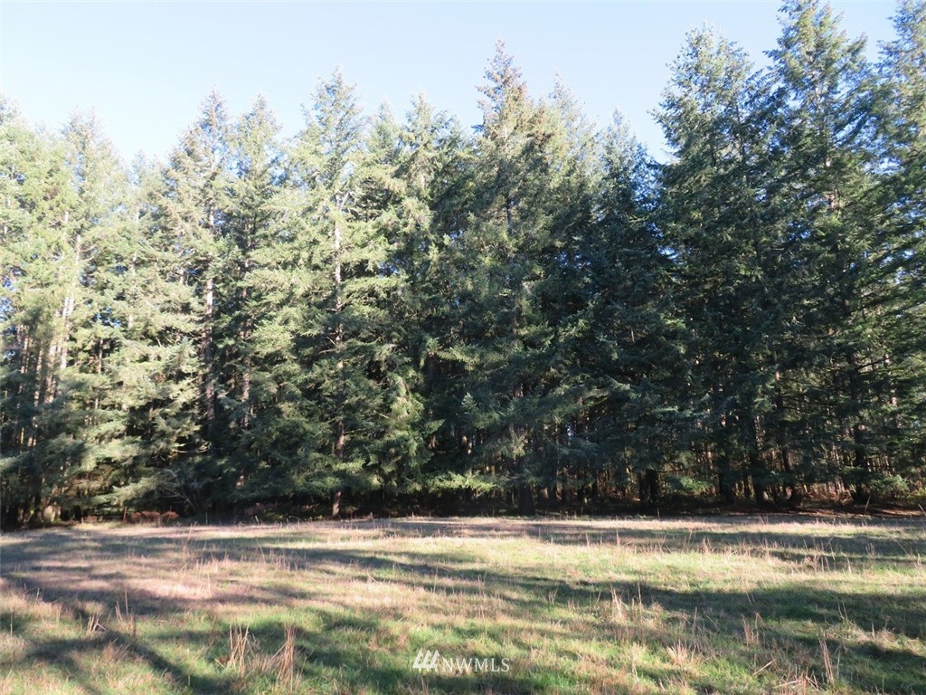 -xxx Antrim Road Winlock, WA 98596 - Photo 12 of 25