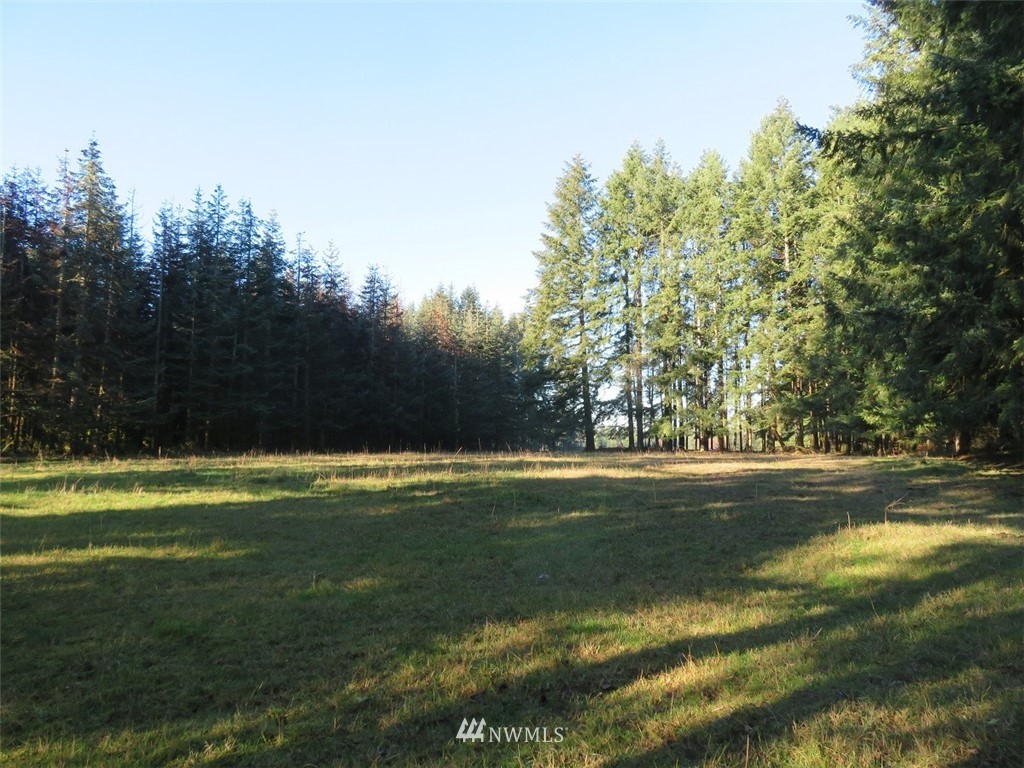 -xxx Antrim Road Winlock, WA 98596 - Photo 13 of 25