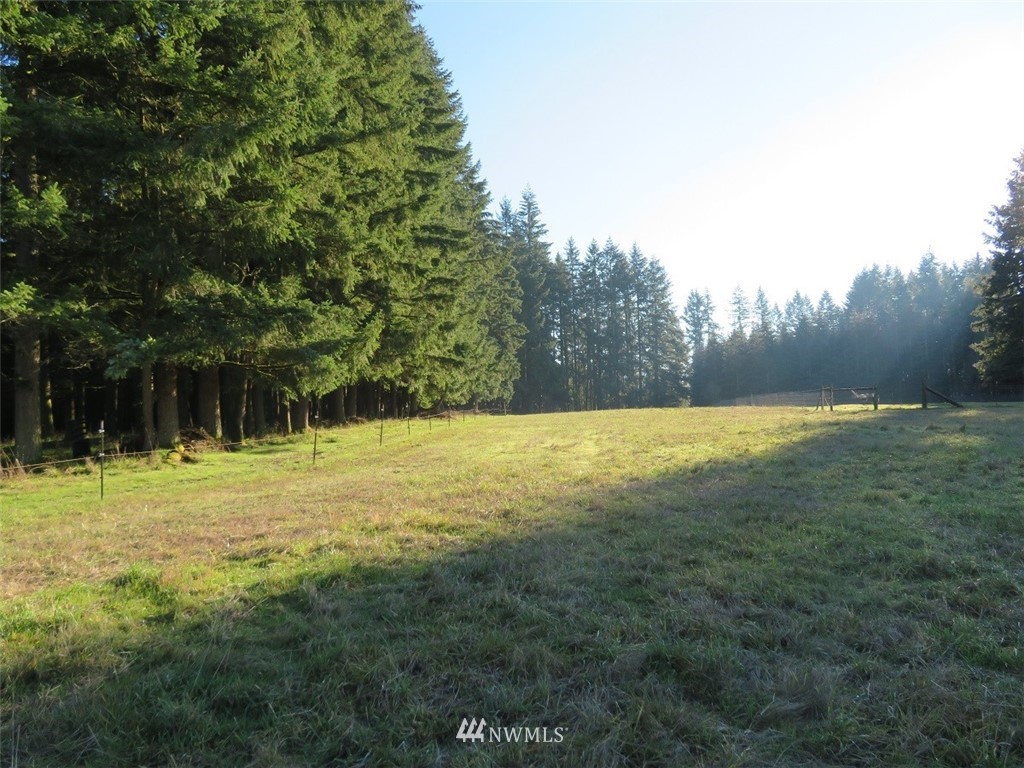 -xxx Antrim Road Winlock, WA 98596 - Photo 15 of 25