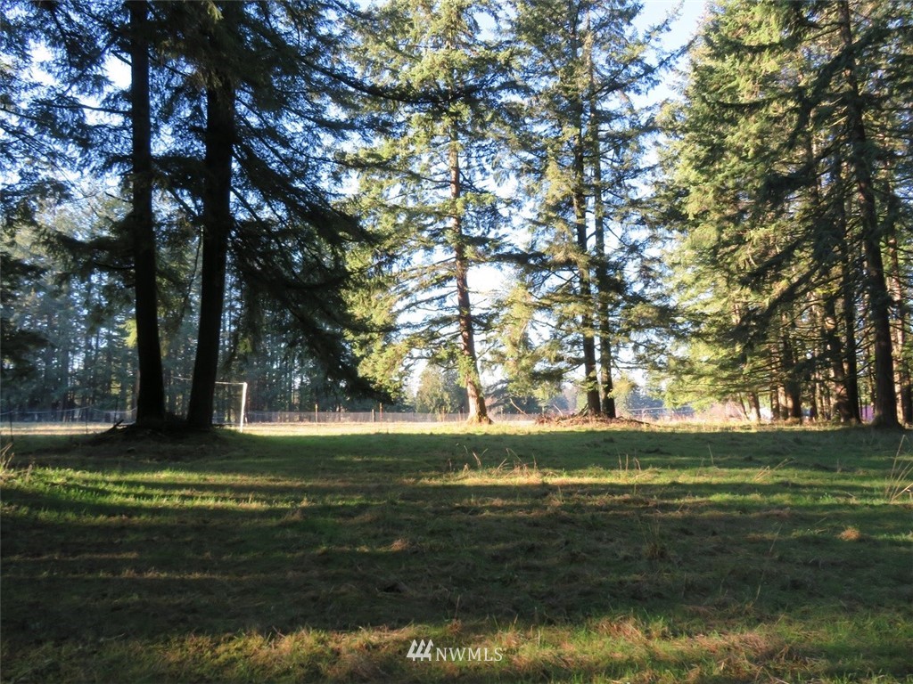 -xxx Antrim Road Winlock, WA 98596 - Photo 16 of 25