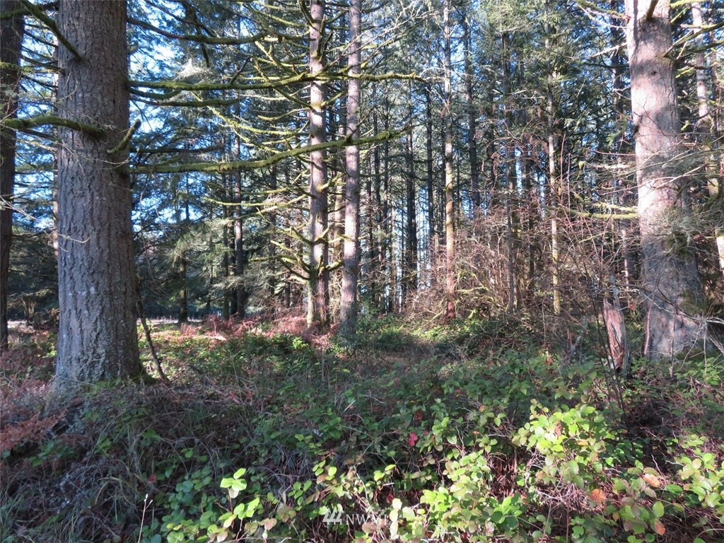 -xxx Antrim Road Winlock, WA 98596 - Photo 17 of 25