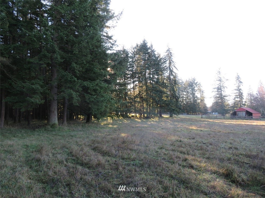 -xxx Antrim Road Winlock, WA 98596 - Photo 19 of 25