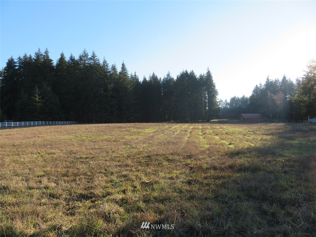 -xxx Antrim Road Winlock, WA 98596 - Photo 3 of 25