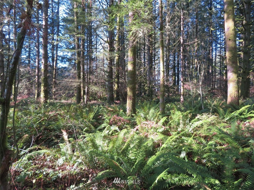 -xxx Antrim Road Winlock, WA 98596 - Photo 22 of 25