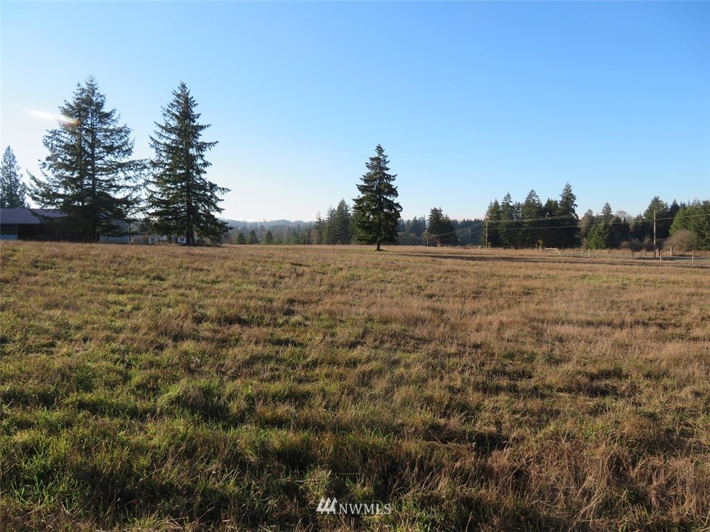 -xxx Antrim Road Winlock, WA 98596 - Photo 23 of 25