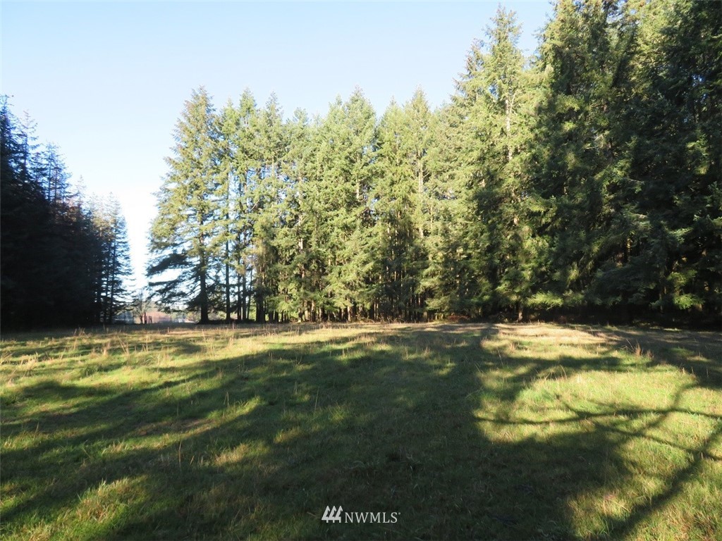 -xxx Antrim Road Winlock, WA 98596 - Photo 4 of 25
