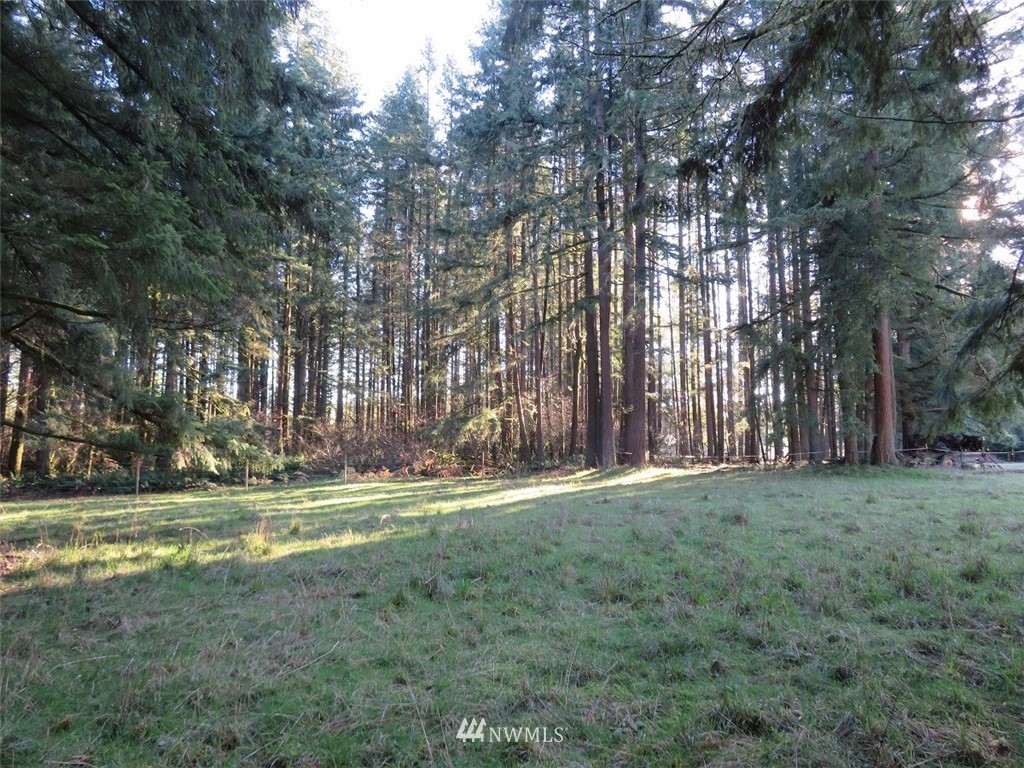 -xxx Antrim Road Winlock, WA 98596 - Photo 5 of 25