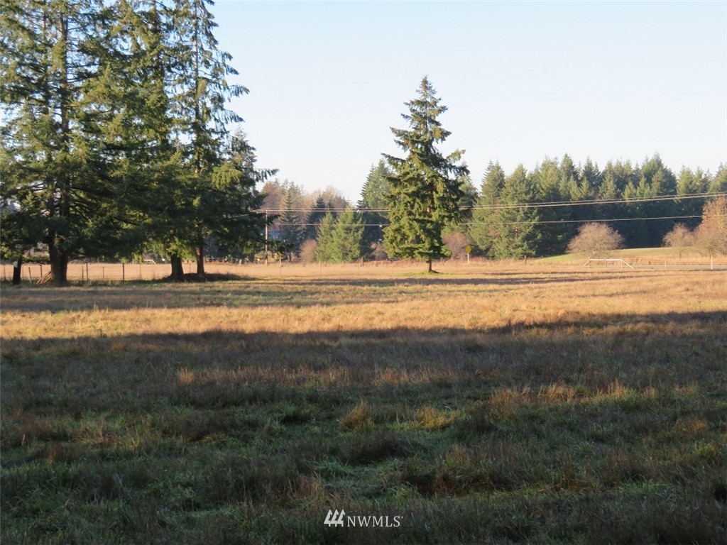 -xxx Antrim Road Winlock, WA 98596 - Photo 6 of 25