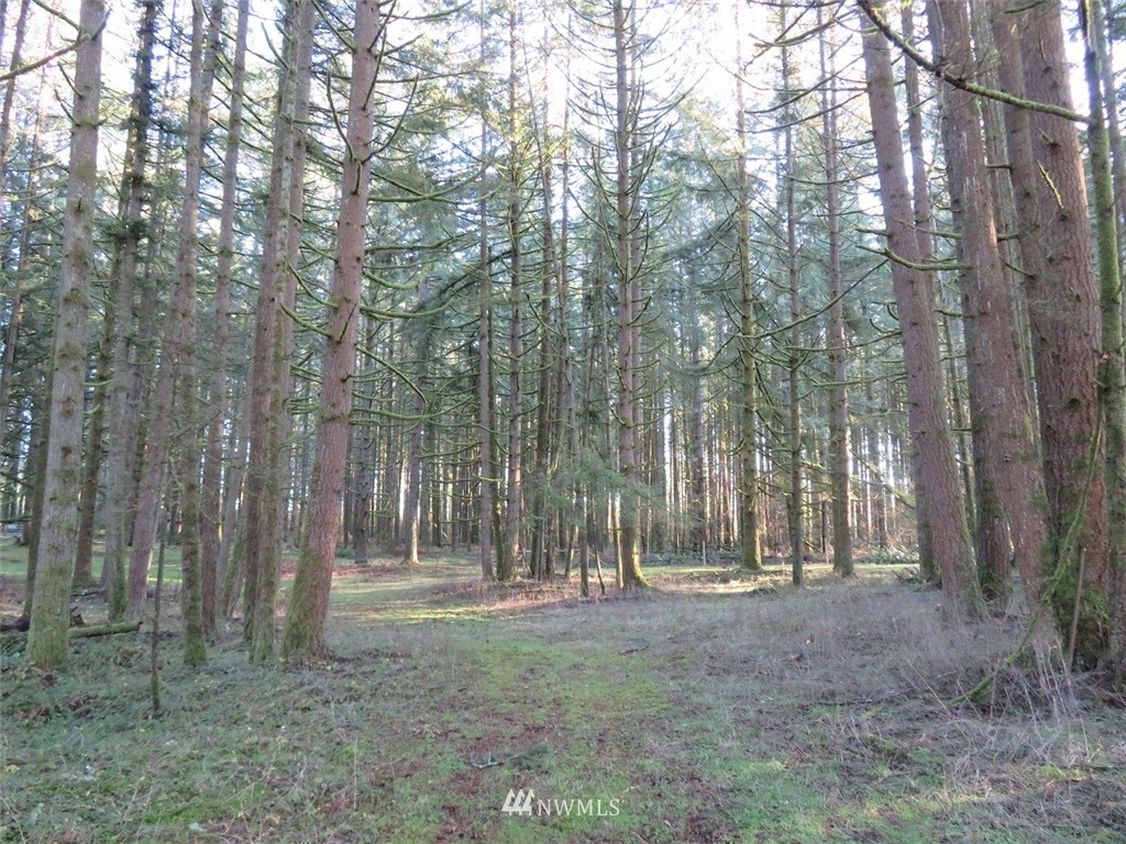 -xxx Antrim Road Winlock, WA 98596 - Photo 7 of 25