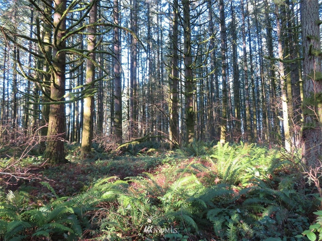 -xxx Antrim Road Winlock, WA 98596 - Photo 8 of 25
