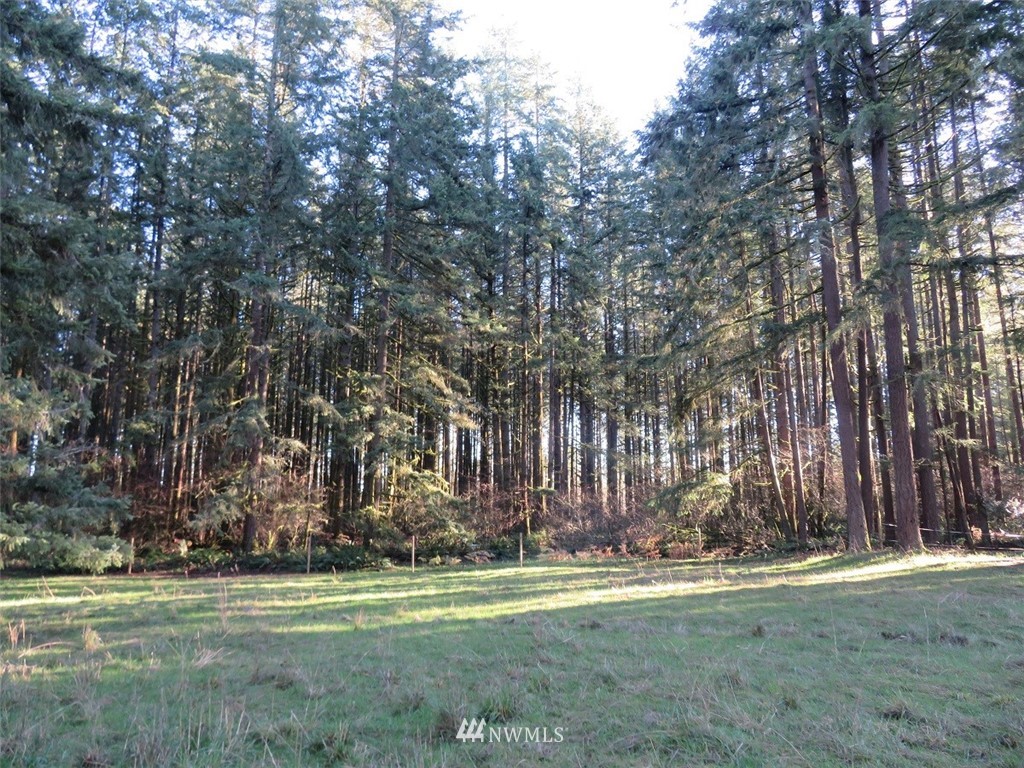 -xxx Antrim Road Winlock, WA 98596 - Photo 9 of 25
