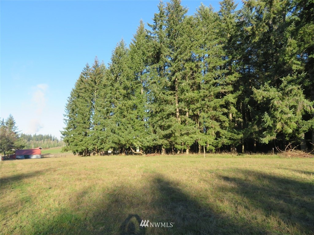 -xxx Antrim Road Winlock, WA 98596 - Photo 10 of 25
