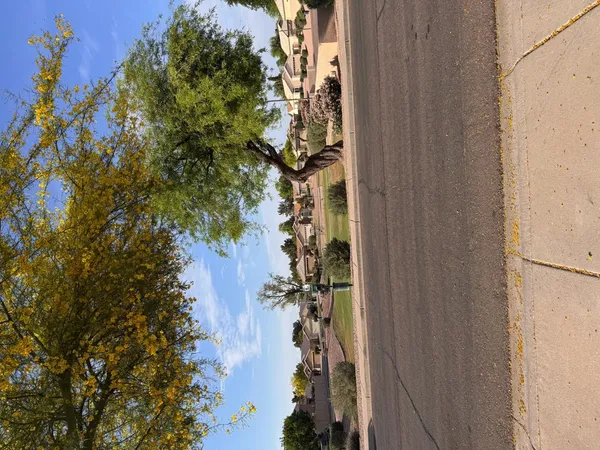 $2,550 | 979 East Brentrup Drive, Tempe, AZ 85283