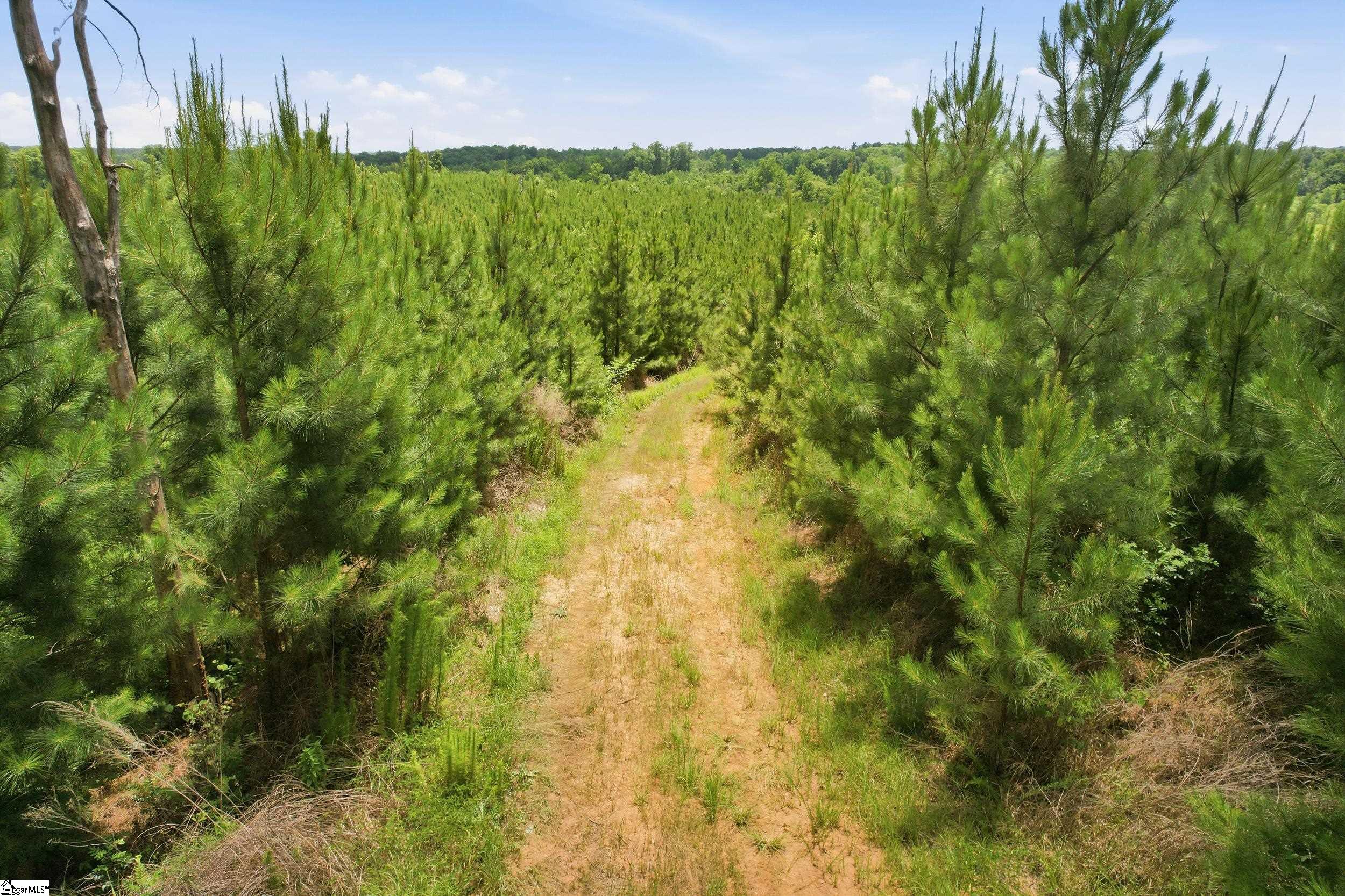839 Duncan Creek Church Road Clinton, SC 29325 - Photo 3 of 50