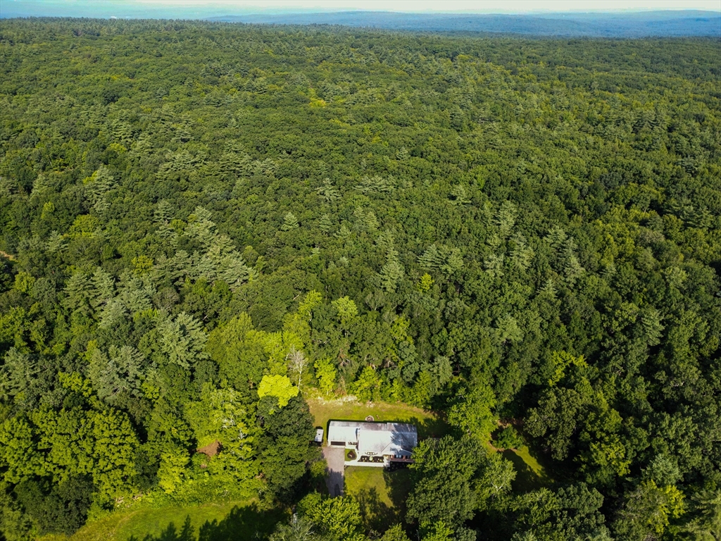 168 East Haynes Road Townsend, MA 01469 - Photo 23 of 23 a view of a big yard with large trees