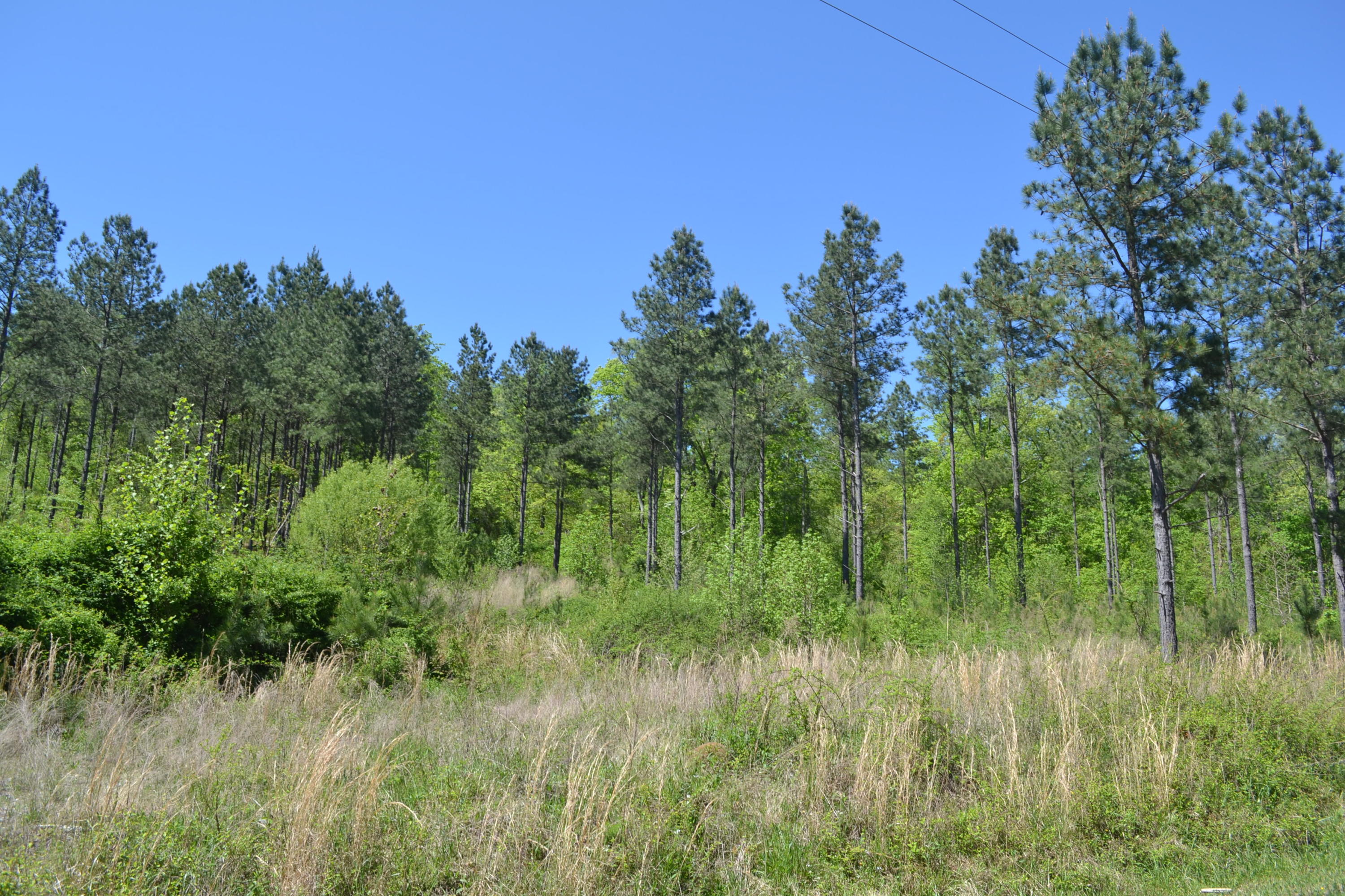 Ten Mile Tn 37880 Road Decatur, TN 37322 - Photo 1 of 8 Hon 224 ac_1936Hon 224 ac