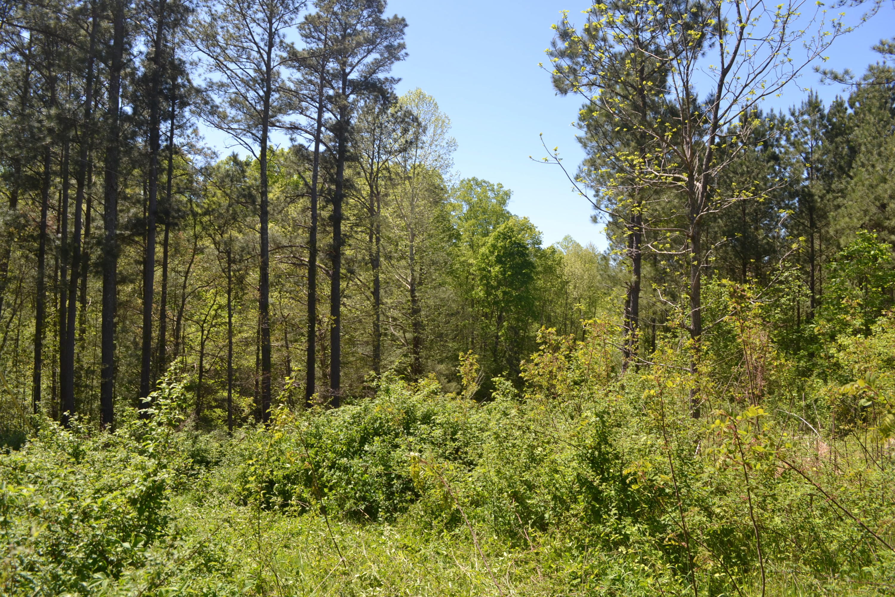 Ten Mile Tn 37880 Road Decatur, TN 37322 - Photo 5 of 8 Hon 224 ac_1940Hon 224 ac