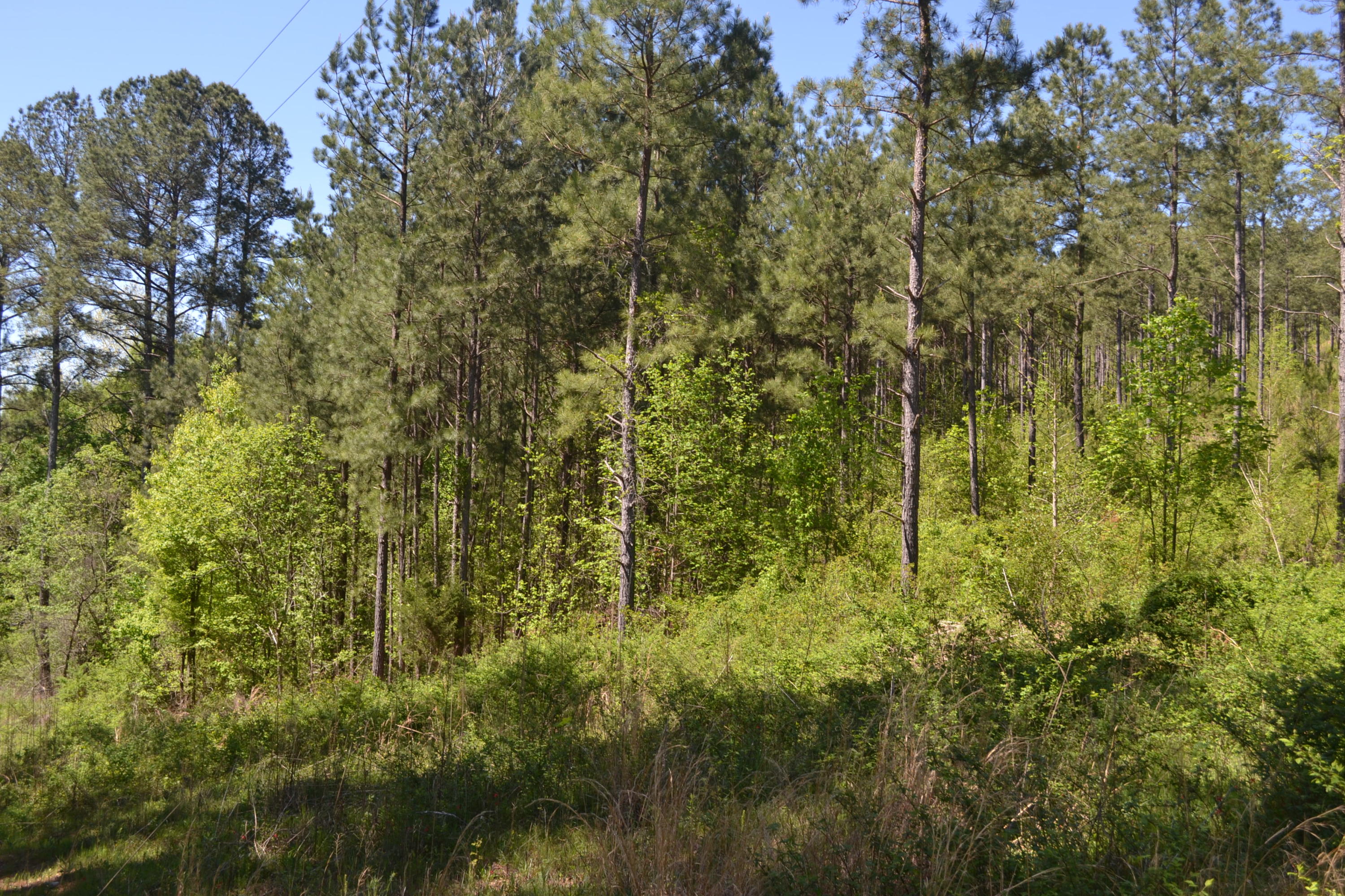 Ten Mile Tn 37880 Road Decatur, TN 37322 - Photo 6 of 8 Hon 224 ac_1942Hon 224 ac