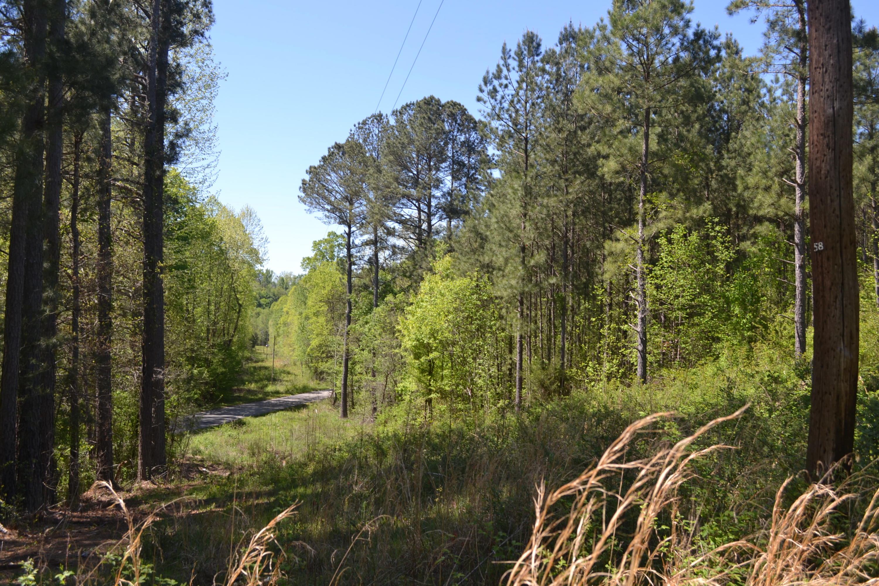 Ten Mile Tn 37880 Road Decatur, TN 37322 - Photo 7 of 8 Hon 224 ac_1943Hon 224 ac